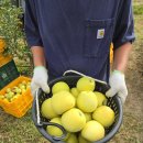 밤실농장 이미지