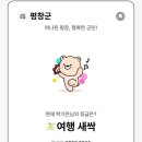 나라애견 네이버블로그