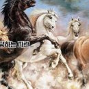 우주행정사사무소 이미지