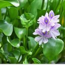 천년메디컬 이미지