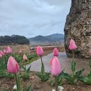 판수농장 이미지