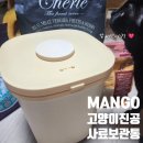 두부네 | 고양이 사료 보관통 콩두부네 사용후기, MANGO