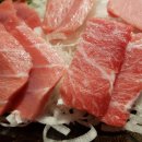 진어참치 이미지