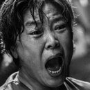 명도수산 네이버블로그
