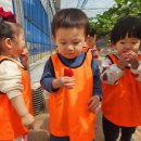 찬민농장 이미지