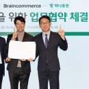 브레인솔루션