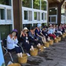 괴산군치매안심센터 이미지