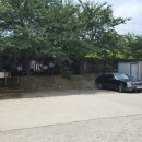 람보기사식당 이미지