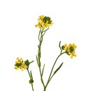 주)가딘 이미지