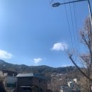 도도 앤틱카페