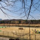 광산구-020 티스토리