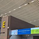 236 | 오사카 진에어 후기 LJ233, LJ236 (간사이공항 2터미널 이용꿀팁)