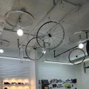 콤바이크(Kom Bike)