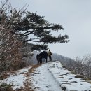 DMZ 평화의 길 2코스 *김포구간* (24.12.21) 역방향 진행 이미지