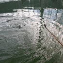 여주낚시터 이미지