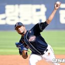 미란다 이미지