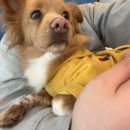 바로나도 수원영통 이미지