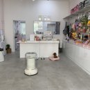 디어펫살롱 이미지