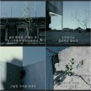 마로잔 | 영화 명장면 명대사 2탄 짜잔!!