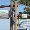 동해망상오토캠핑리조트 이미지