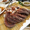 옥동돌문어 이미지