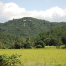 입실3리 이미지