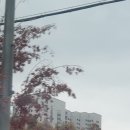 어유소 장군 사당 이미지