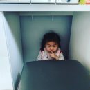 벧엘 양봉 이미지