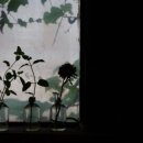 들뫼풍경 이미지