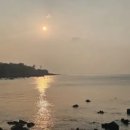 소노캄 제주 이스트타워 이미지