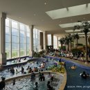 아쿠아필드 이미지