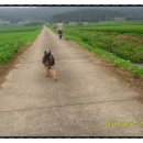 아멘농장 이미지