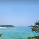 네 종류의 가정 이미지