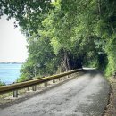 바다빌리지 관광펜션 이미지