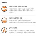 라빌리타