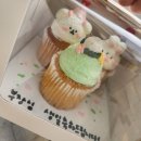 내당역 | 내당역 도시락케이크 맛집 | 오즈케이크 후기 (주말 픽업 가능)