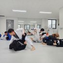 사당주짓수