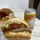 [롯데리아] 오징어패티는 못 참지 불고기 익스트림 오징어버거 내돈내산/솔직후기
