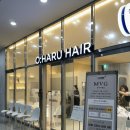[후기]오하루헤어 송도 | 레이어드C컬펌 50%라고?