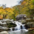 계곡속의동화 이미지