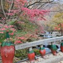강천산군립공원(구장군폭포) 이미지