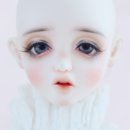 포베오 이미지