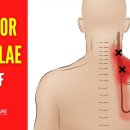 신갈한의원 이미지