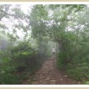 곰배령스케치 이미지