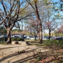 대한불교천태종대성사동해유치원 이미지