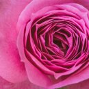 오성도서관 이미지