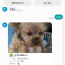 알로하 동물병원 이미지