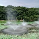 능내1리 마을회관 | 경기도 남양주 : 다산길, 능내역(폐역), 운길산역, 정약용(茶山 丁若鏞), 정약용 유적지, 2011년 트레킹...