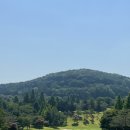 수원-0527 이미지