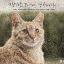 고양이집사 이미지